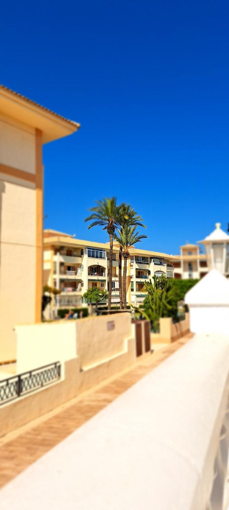Bungalow Casa De Pablo La Mata  Εξωτερικό φωτογραφία