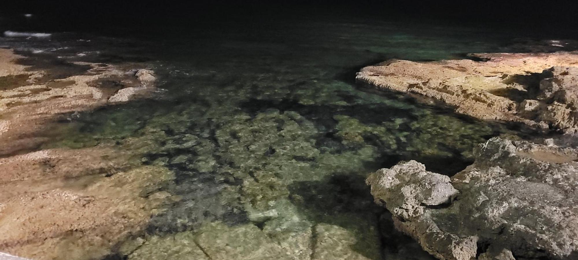 Bungalow Casa De Pablo La Mata  Εξωτερικό φωτογραφία