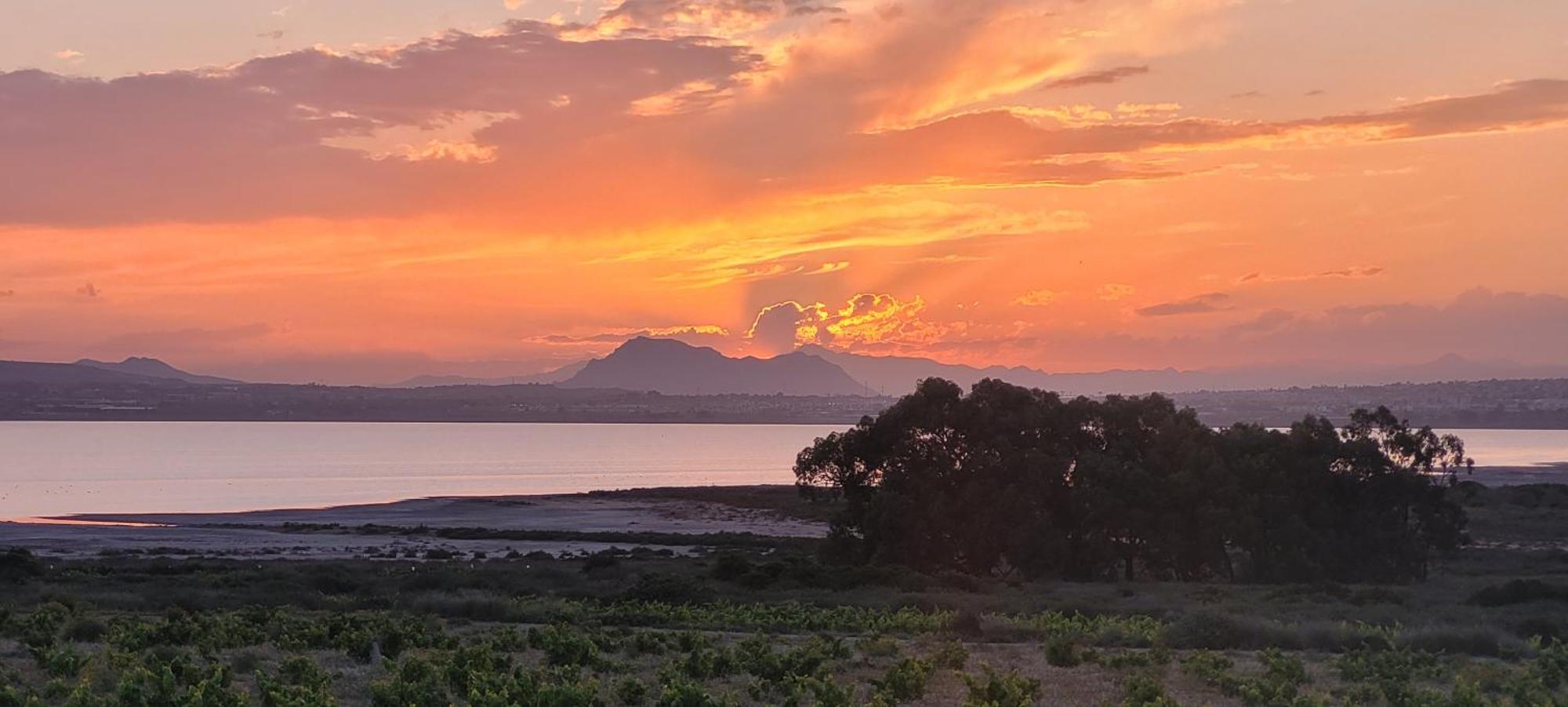 Bungalow Casa De Pablo La Mata  Εξωτερικό φωτογραφία
